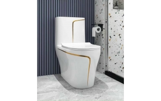 Bàn cầu liền khối cao cấp R892