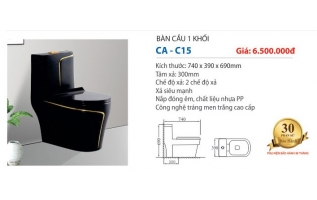 Bàn cầu đen cao cấp liền khối