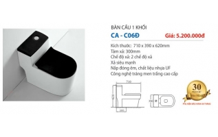 Bàn cầu liền khối cao cấp
