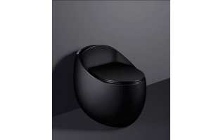 Bàn cầu thông minh R889